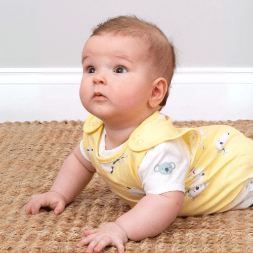 Kite Koala time Toddler Bundle