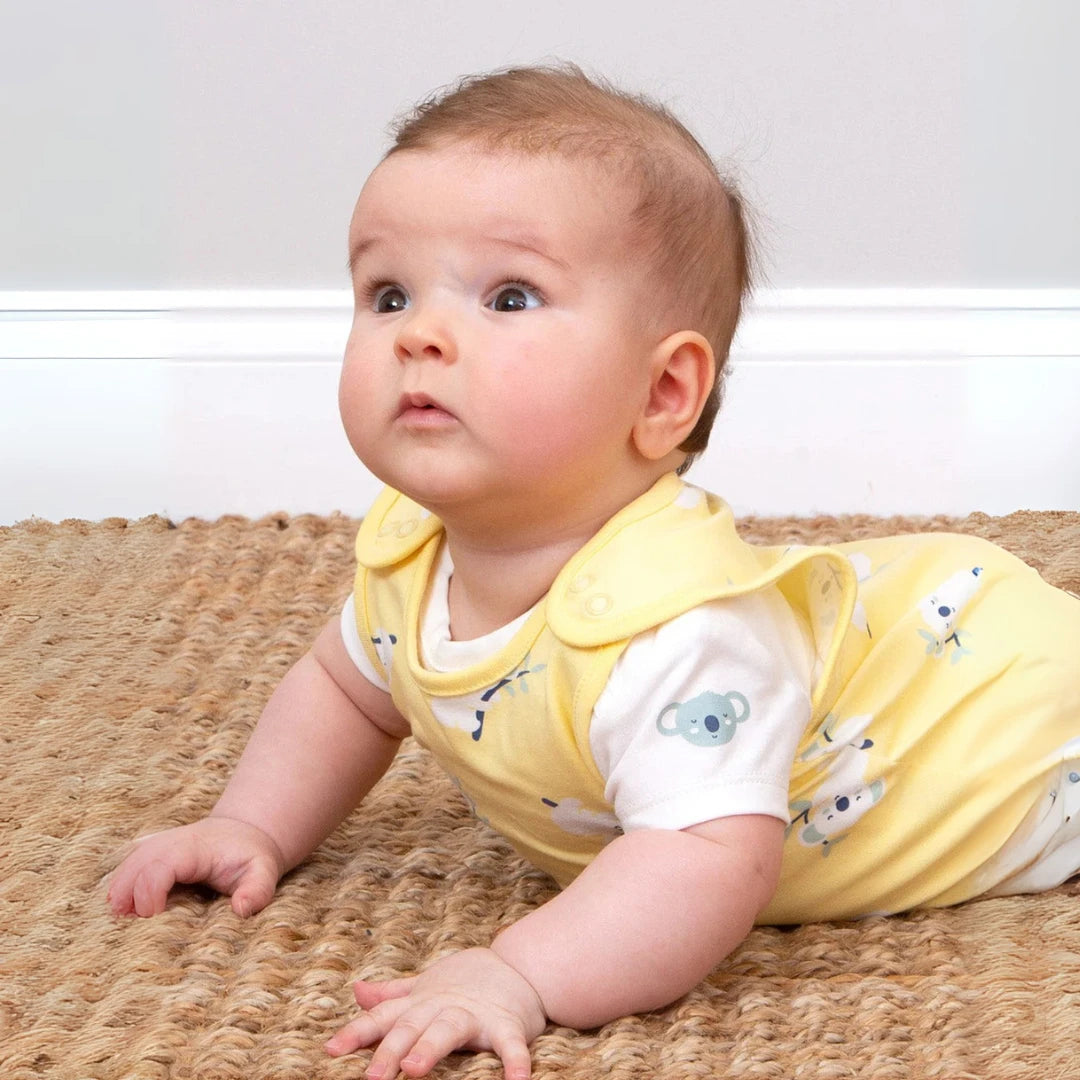 Baby in a unisex koala outfit