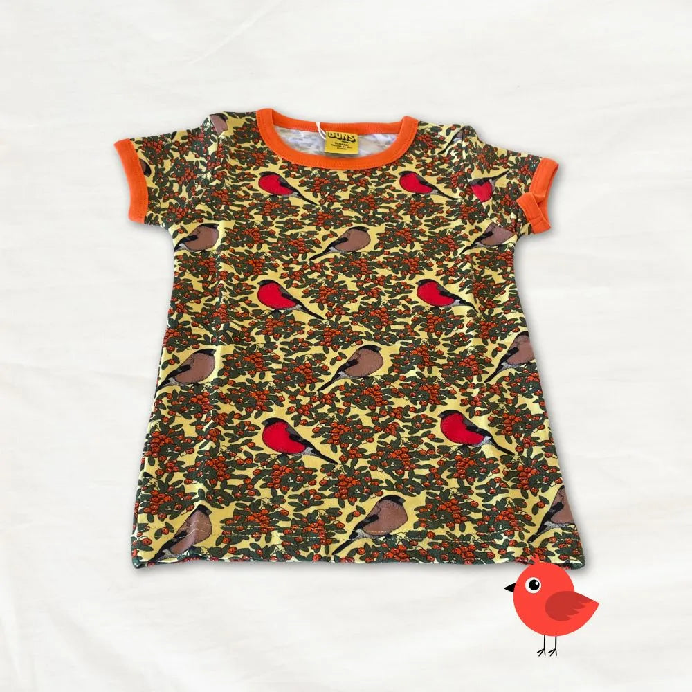 Children's dress with bird and berry pattern on a white background