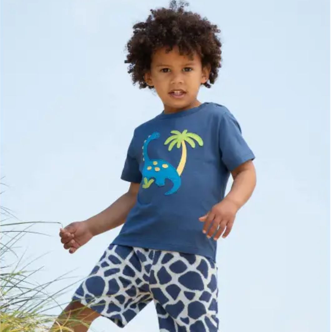 Child wearing a blue t-shirt with a dinosaur and palm tree design, standing outdoors.