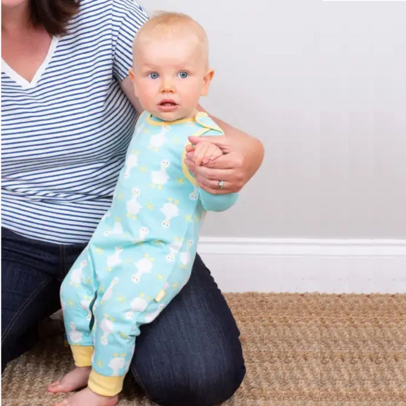 Baby wearing a light blue onesie with animal prints, sitting on a person's lap.