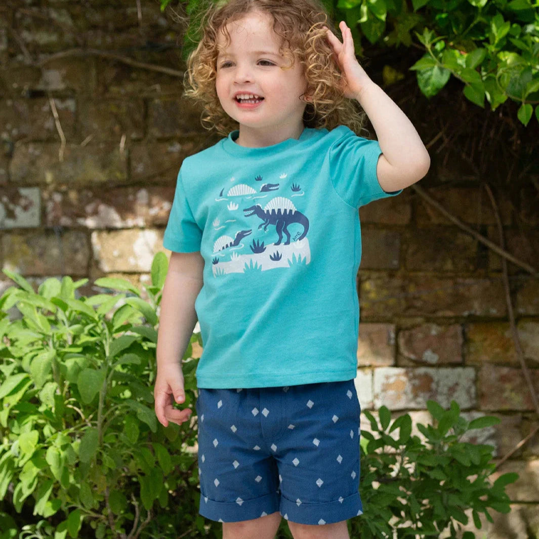 Child wearing a turquoise t-shirt with dinosaur design and blue shorts standing outdoors.