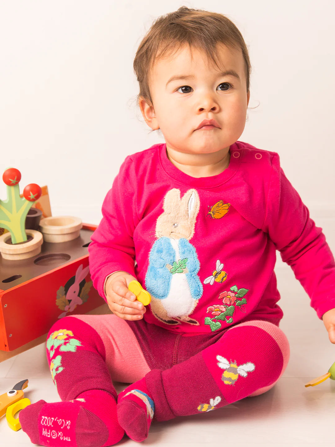 Peter Rabbit Autumn Leaf Matching Set