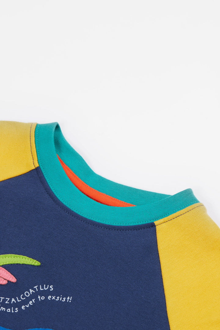 Frugi Renny Raglan Navy Blue/Dino T-Shirt Frugi T-shirts