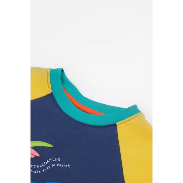 Frugi Renny Raglan T-Shirt Dino Organic Cotton Navy Blue - T-shirts