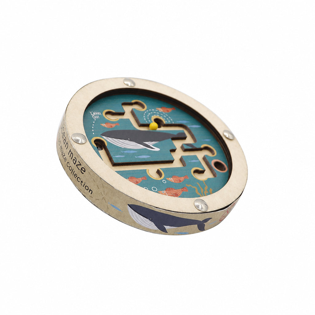 Ocean Pocket Maze Disc Double Sided view 2