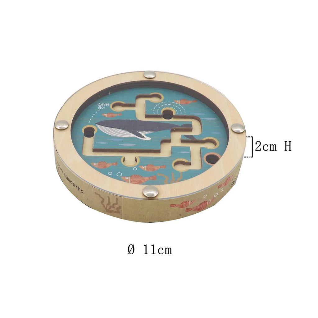 Ocean Pocket Maze Disc Double Sided view 3