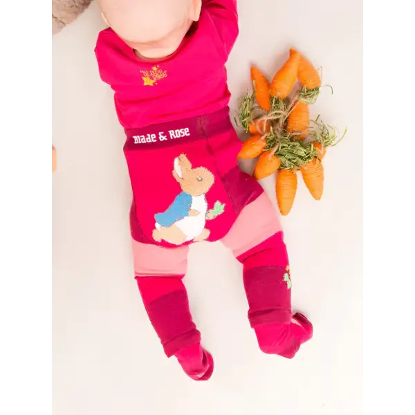 Peter Rabbit Autumn Leaf Matching Set - Gift Bundle