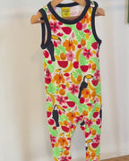 DUNS Toucan and ruit