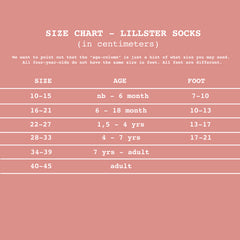Lillster Blue Skater Socks - Kiddo