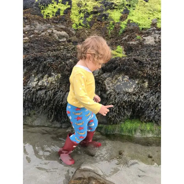 Slugs & Snails Organic Seaside Kids Tights - Tights