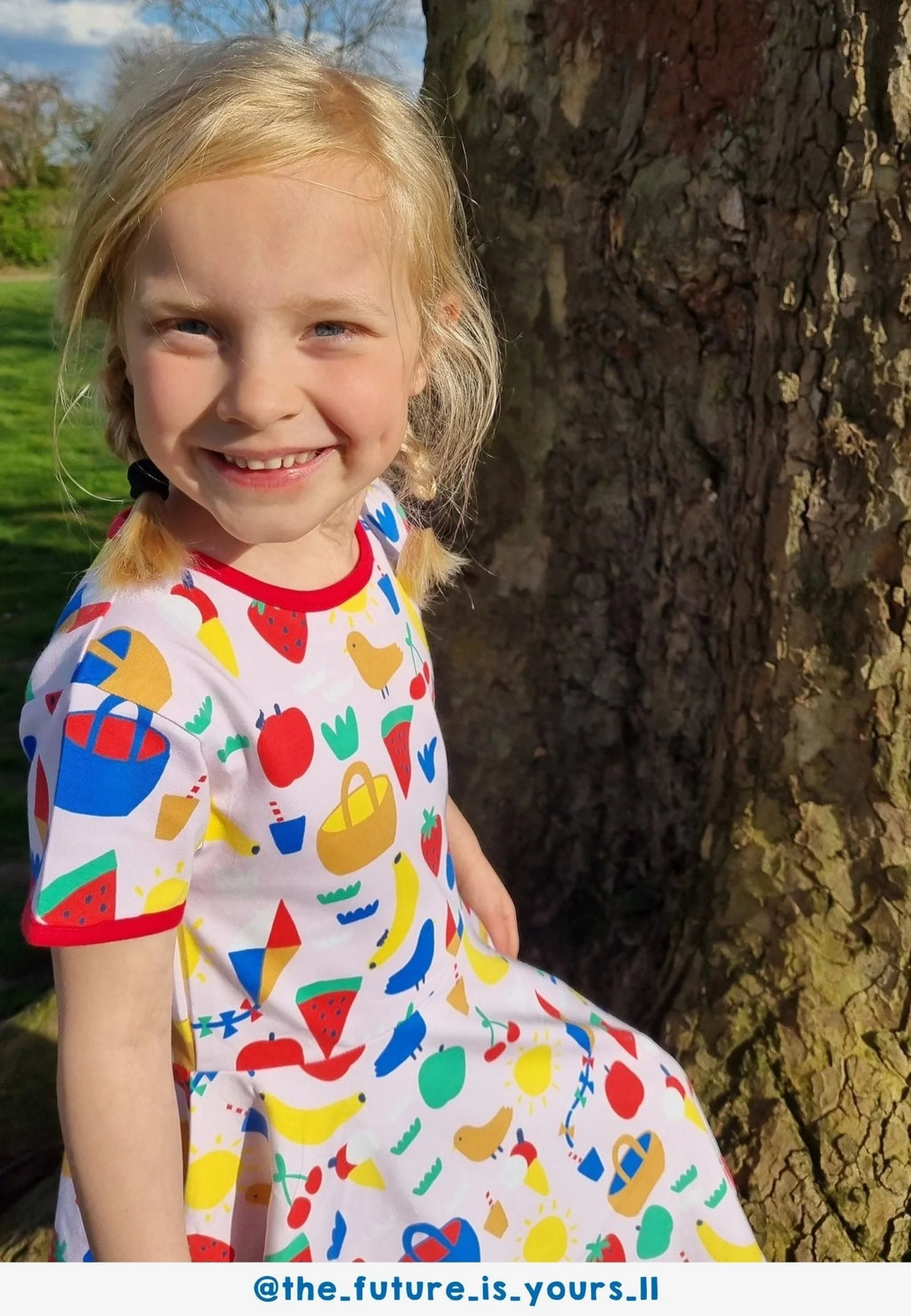 Toby Tiger Organic Picnic Print Skater Dress