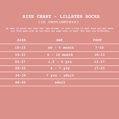 Lillster Filippa the Van Socks - Big (Adult sizes)